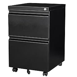 2 Drawer File Cabinet with Lock,Under Desk File