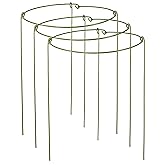 3 Pack Plant Support Stakes, Adjustable Plant Ring Cages with Green Rubber Wrapping, Ideal for Orchids, Indoor and Outdoor Potted Plants, 10" Wide x 17" High