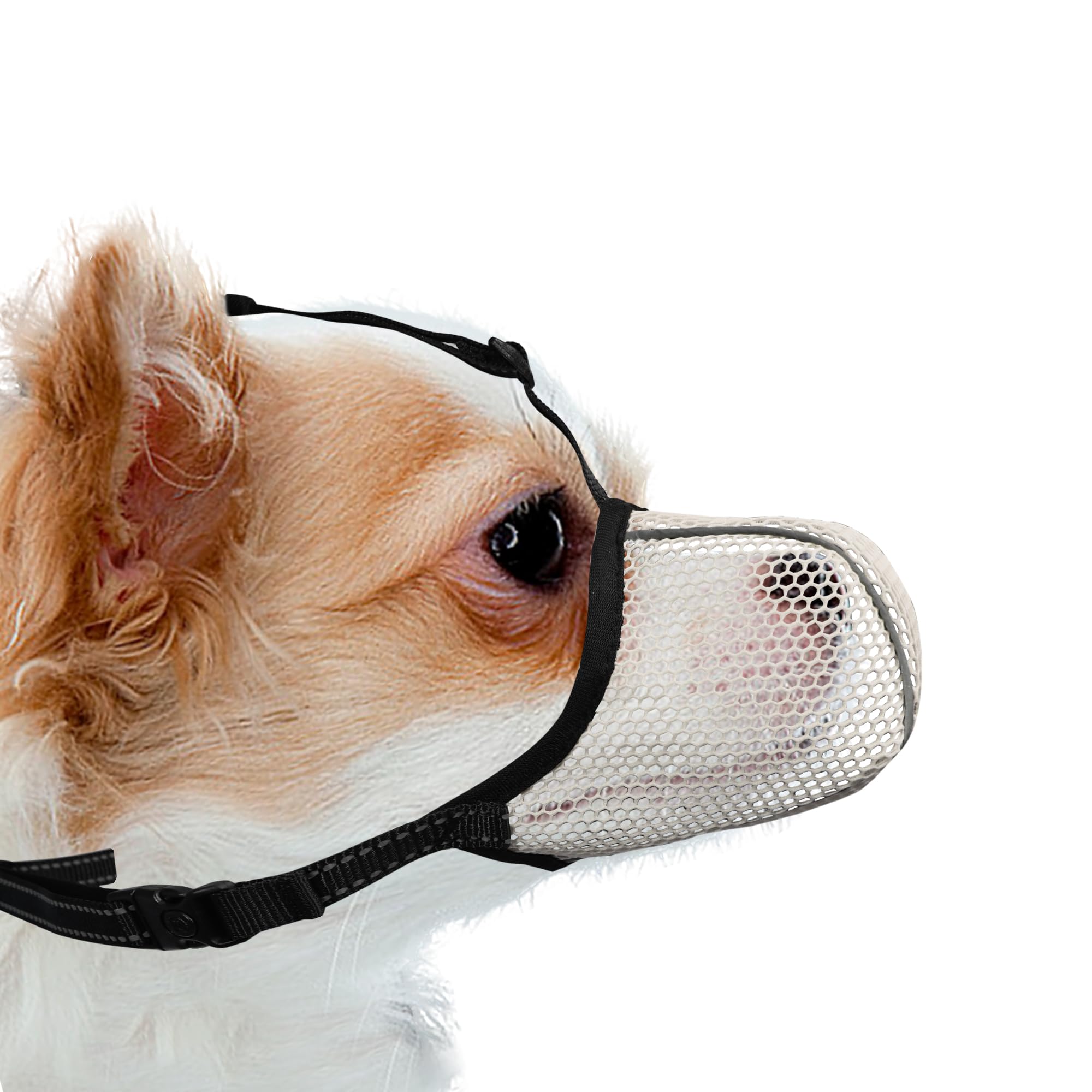 Photo 1 of JOYPAWS Dog Muzzle, Breathable Soft for Extra Small Dogs to Anti & Prevent Barking Biting Chewing, Reflective & Adjustable Basket Muzzle with Air Mesh for Dachshund Beige XS