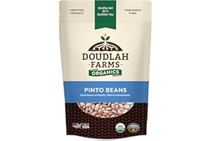 Organic Dried Pinto Beans 1 lb - Non-GMO, Tested Clean Certified, Vegan - Rich in Fiber & Protein for Soups, Burritos, Salads, and Chili - Farmed From Regenerative Soil, Grown In USA by Doudlah Farms