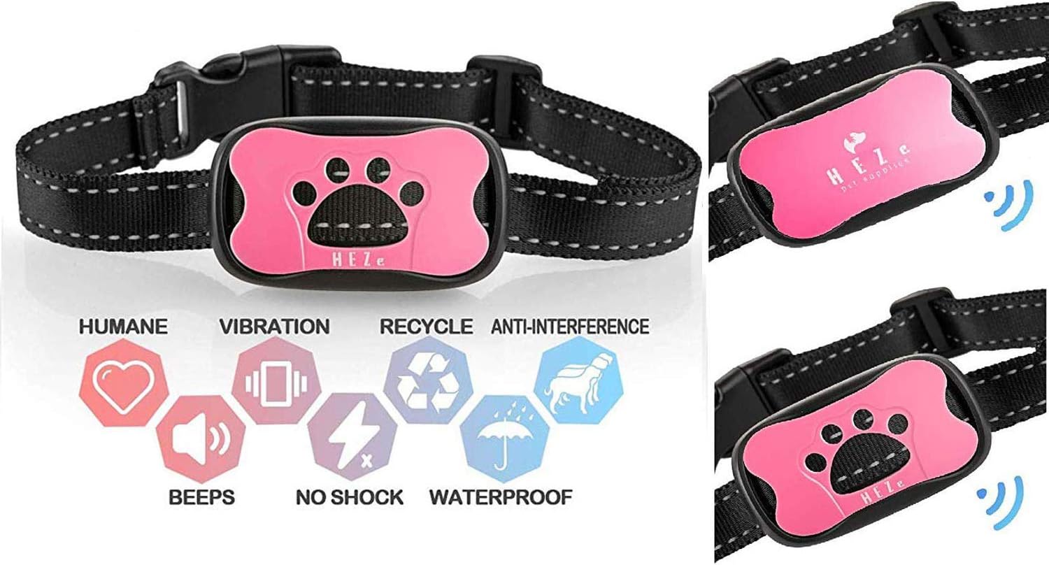 miniature english sheepdog