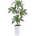 5FT Artificial Palm Tree In White Tall Planter – Fake Silk Areca Plant For Indoor Tropical Decor