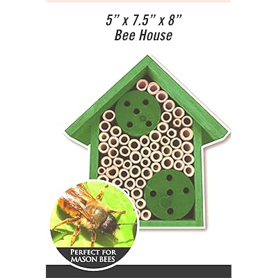 Buy Mason Bee House Bamboo Tube Bee Hotel For Solitary Bees Attract More Pollinating Bees To Your Garden By Providing Them With A Bee Home Made From Fsc Certified Wood