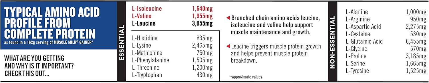 Muscle Milk Gainer Protein Powder, Vanilla Crème, 32g Protein, 5 Pound: Health & Personal Care