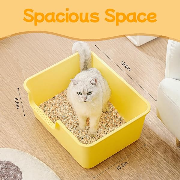LOOPTIME LARGE CAT LITTER BOX WITH HIGH SIDES,CAT LITTER PAN WITH LOW ENTRY,CAT BOX FOR INDOOR KITTENS & SENIOR CATS,ANTI-SPLASHING,WATERPROOF,EASY TO CLEAN,DURABLE (WHITE)