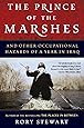 The Prince of the Marshes: And Other Occupational Hazards of a Year in Iraq