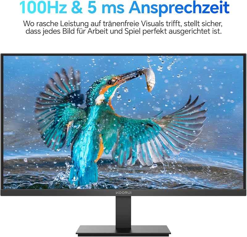 Monitor 24 Zoll, FHD 100Hz Eye Care Bildschirm E2412F