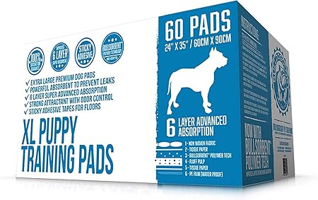 b&m puppy training pads