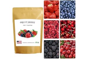 Breoudo 1200+ Mix Fruit Seeds, Berry Seeds - 6 Variety Non-GMO Heirloom Organic, Include Strawberry Seeds, Raspberry Seeds, Mulberry Seeds, Cranberry Seeds, Cherry Seeds, Blueberry Seeds