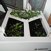 Huerto Urbano - Seed Box Huerto - Batlle: Amazon.es: Jardín