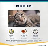 NutriScience LysineAid Cat Gel L-Lysine 50ml Salmon Flavour for Cats & Kittens view 5