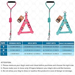 Jax Planet Dog Harness and Leash - Comfortable