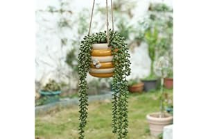 Chonsun Hanging Ceramic Planter 5 Inch Cute Bee Plant Pots Indoor Outdoor Yellow Planter Flower Pot Succulent Plant Pot Ceramic Mid-Century