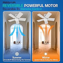 Regair Small Ceiling Fan With Light 32 Inch, Remote