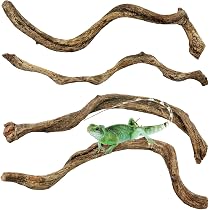 thumbnail interactive-video image 1 of Homoyoyo 4-Piece Reptile Cork Bark - Natural Terrarium Decor For Lizards & Geckos 1 of 13