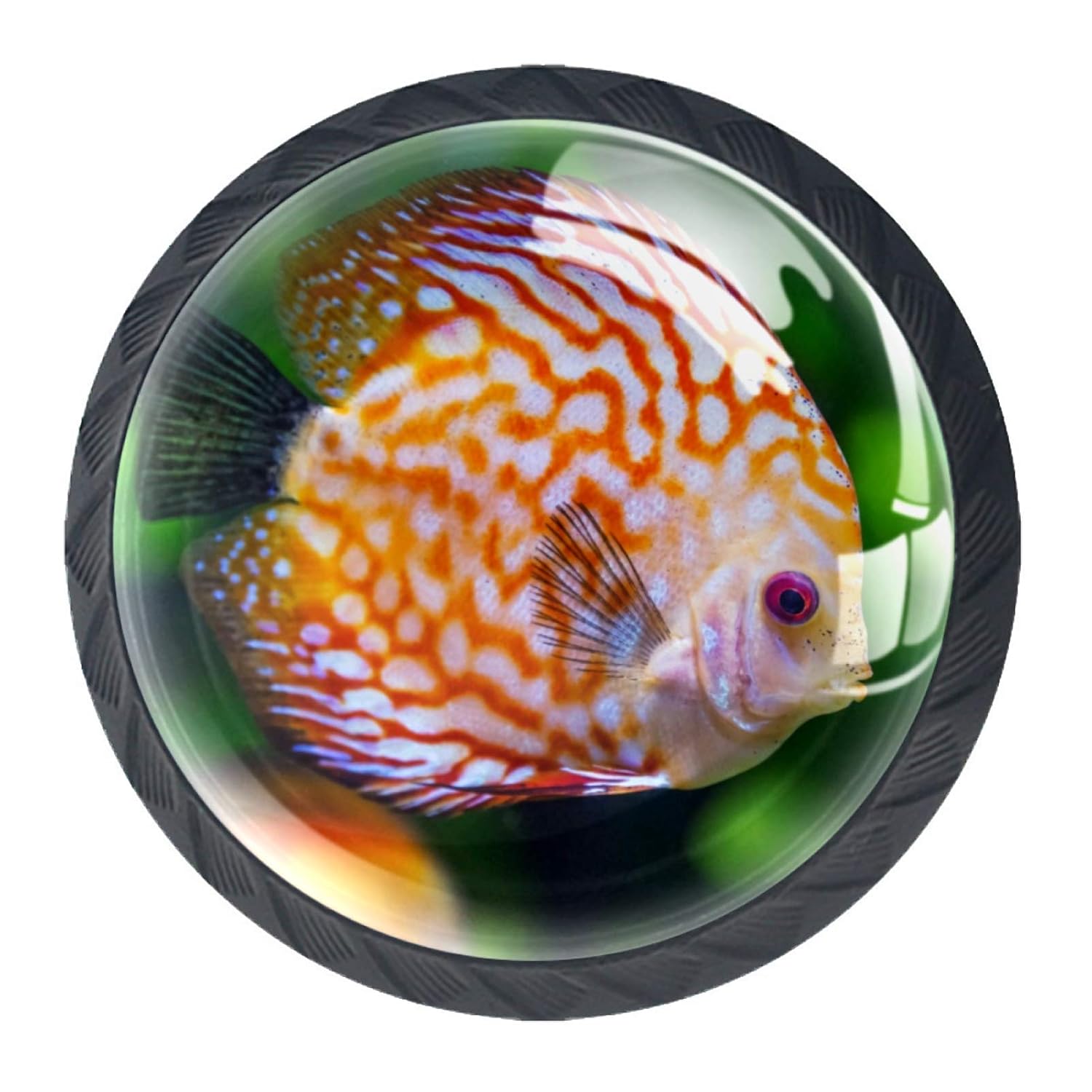 Schrankknöpfe, gestreift, Fische, 4 Stück, bunt, rund, Kristallglas