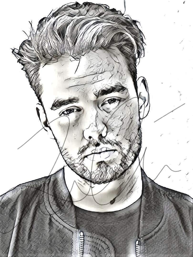 Amazoncom Liam Payne Sketch Drawing Print Poster Hand