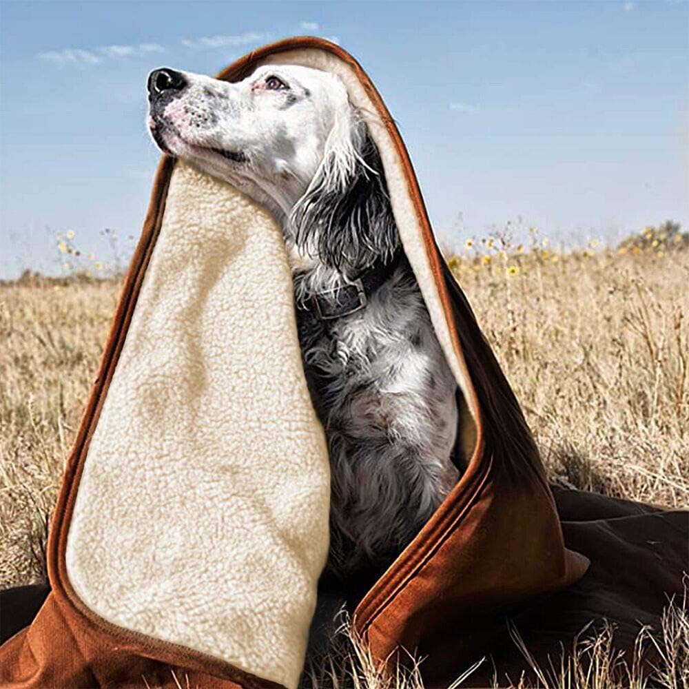 YANGWX Waterproof Dog Blanket Pet Blanket, Soft and Warm Puppy Kitten Sleep Pad Mat, Washable Plush Throw Protects Couch