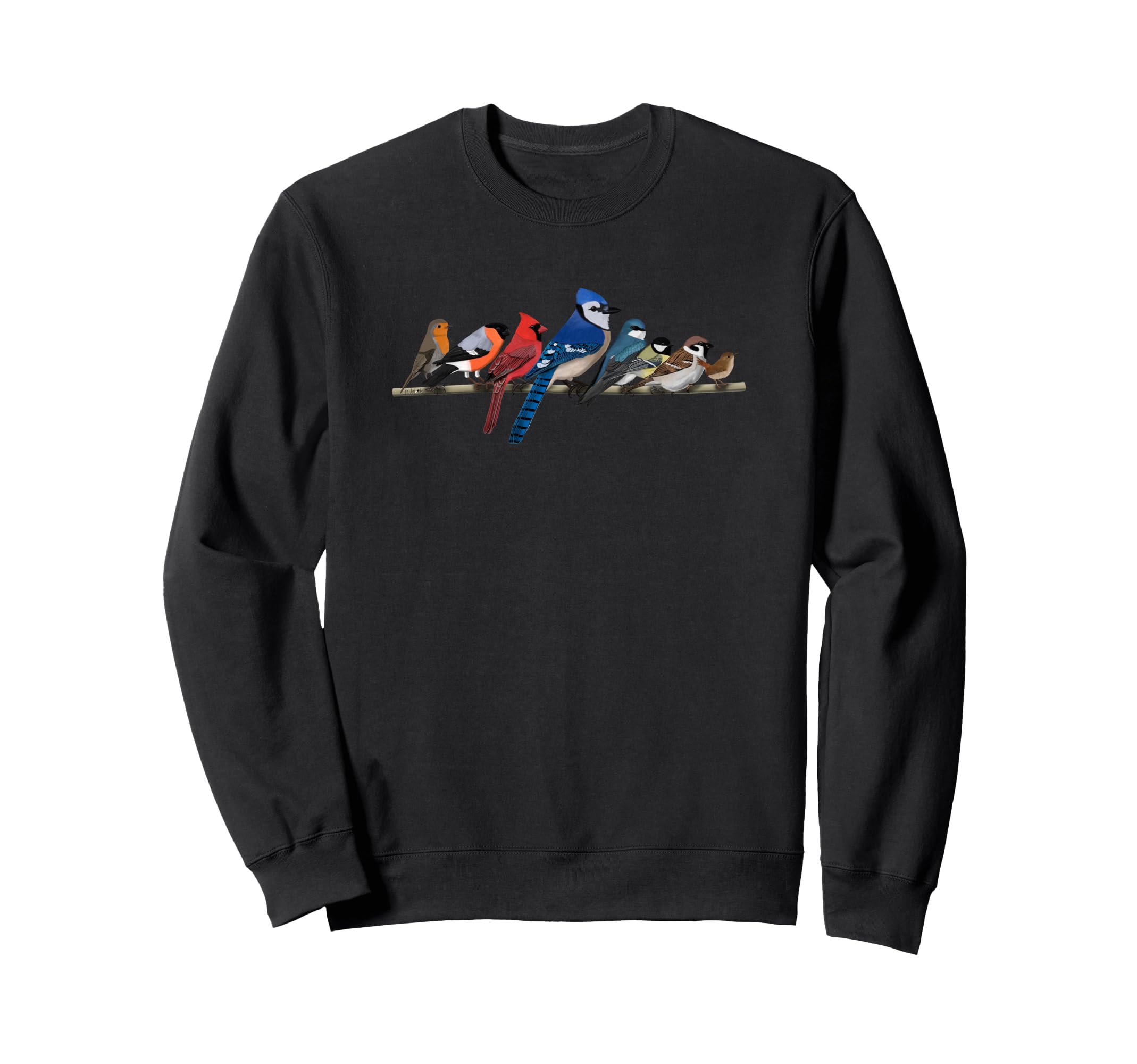 Garden Birds Blue Jay Bullfinch Ornithologist Biologist Sweatshirt