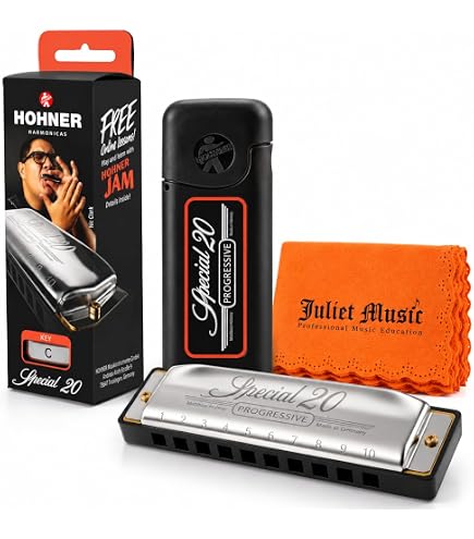 Amazon.com: Hohner 560PBXCTFSHRP Special 20 Diatonic Harmonica