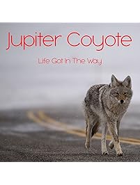 Life Got in the Way [Explicit]