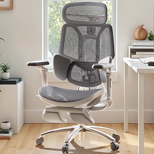 Hbada E3 Ultra Ergonomic Office Chair with 3-Zone Dynamic Lumbar