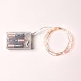 RTGS 20 Warm White Micro LED Battery Operated String Lights, 7.5 Feet Silver Wire