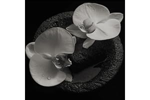 Corpse Flower (Vinyl)
