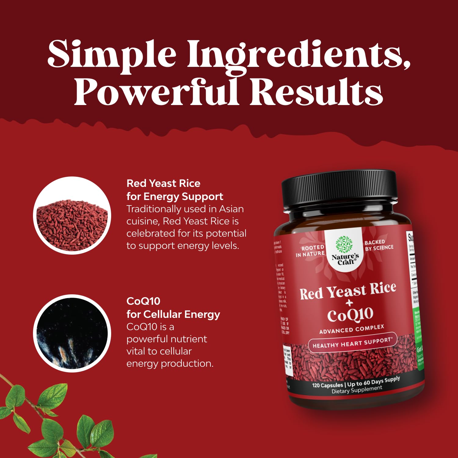 Red Yeast Rice with CoQ10 Supplement - Advanced Healthy Heart & Healthy Cholesterol Levels Formula for Men & Women - Extra Strength Capsule with Red Yeast Rice 1200 mg Capsules with CoQ10-120 Count