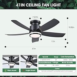 Modern Ceiling Fans with Lights and Remote/APP