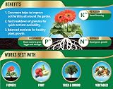 Westland Growmore Garden Fertiliser 10 kg NPK 7-7-7 Glyphosate Rich view 2