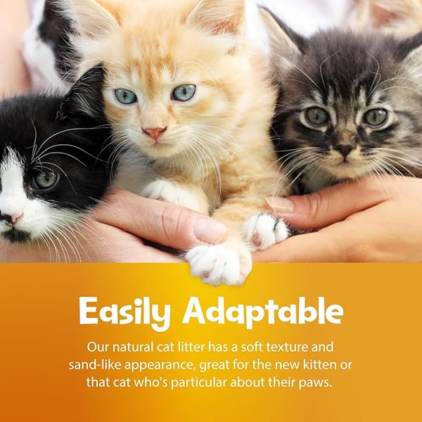 SMARTCAT ALL NATURAL CLUMPING CAT LITTER, 10 POUND (160OZ 1 PACK) – ALTERNATIVE TO CLAY AND PELLET LITTER – CHEMICAL AND 99% DUST FREE – UNSCENTED AND LIGHTWEIGHT