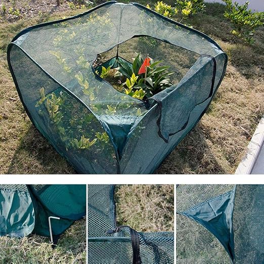 feiledi Trade Cortina Plegable para la protección de Las Plantas ...