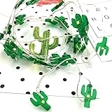 AceList 30-LED Copper String Light, Led Fairy Starry Battery-Operated Decorative For Jar Bottle Bedroom Patio Parties Plant - Cactus