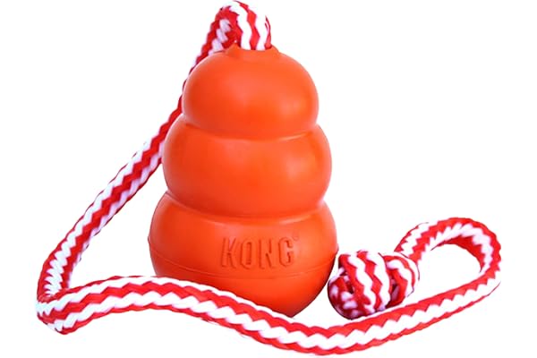 KONG Aqua - Floating Fetch Toy for Water Play - For Large Dogs