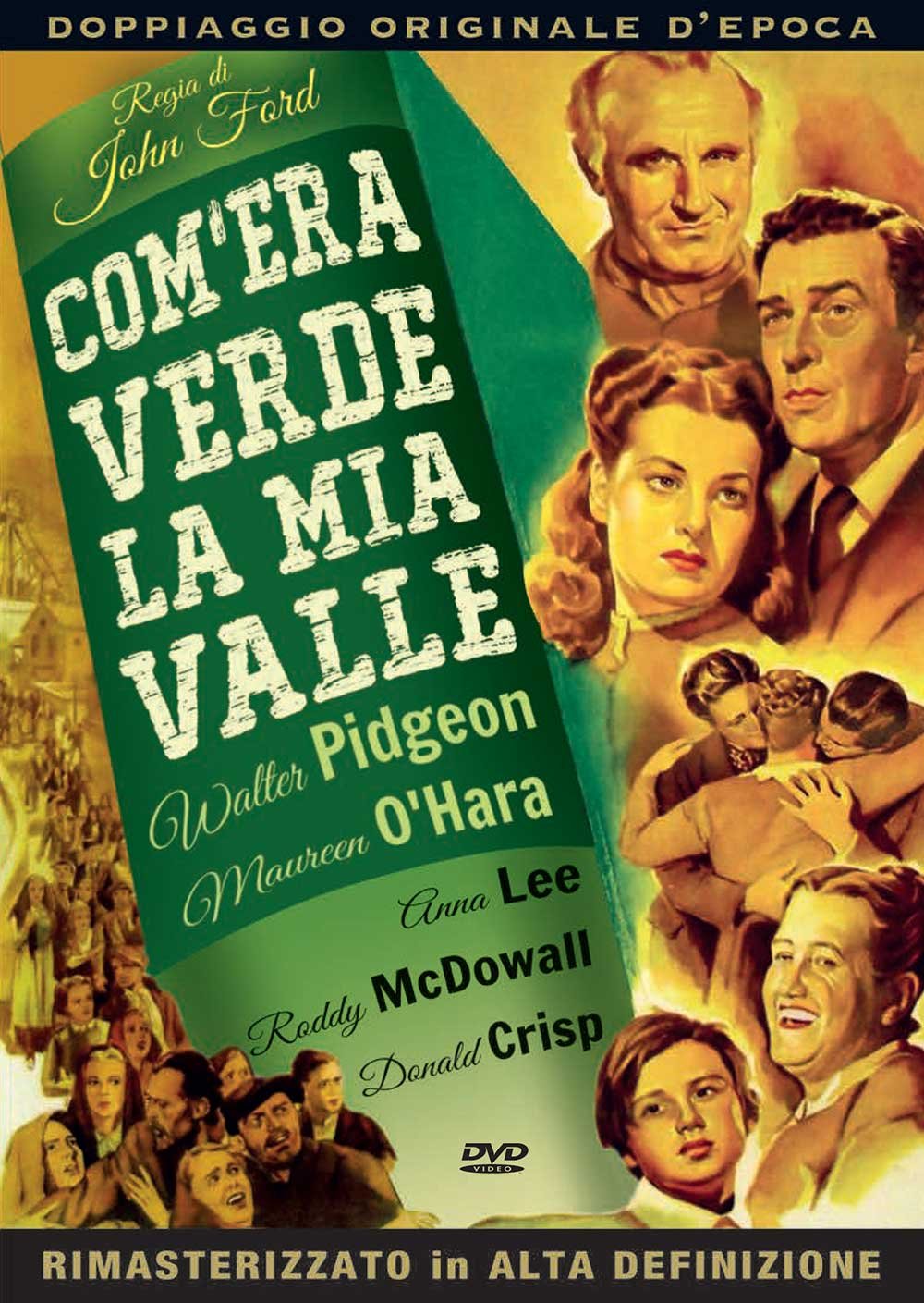 Come Era Verde La Mia Valle Libro