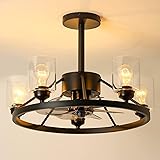 KINGTORO 24" Chandelier Ceiling Fans with Lights