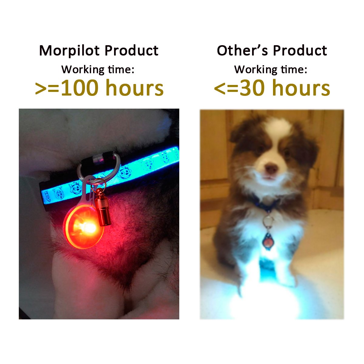 morpilot Collar LED Luz Perro, 6Pcs Clip-on Luces de Colores de Seguridad Luminoso Impermeable para Mascotas por Caminar por la Noche, 6 Baterías + 6 Baterías Extras Incluidas