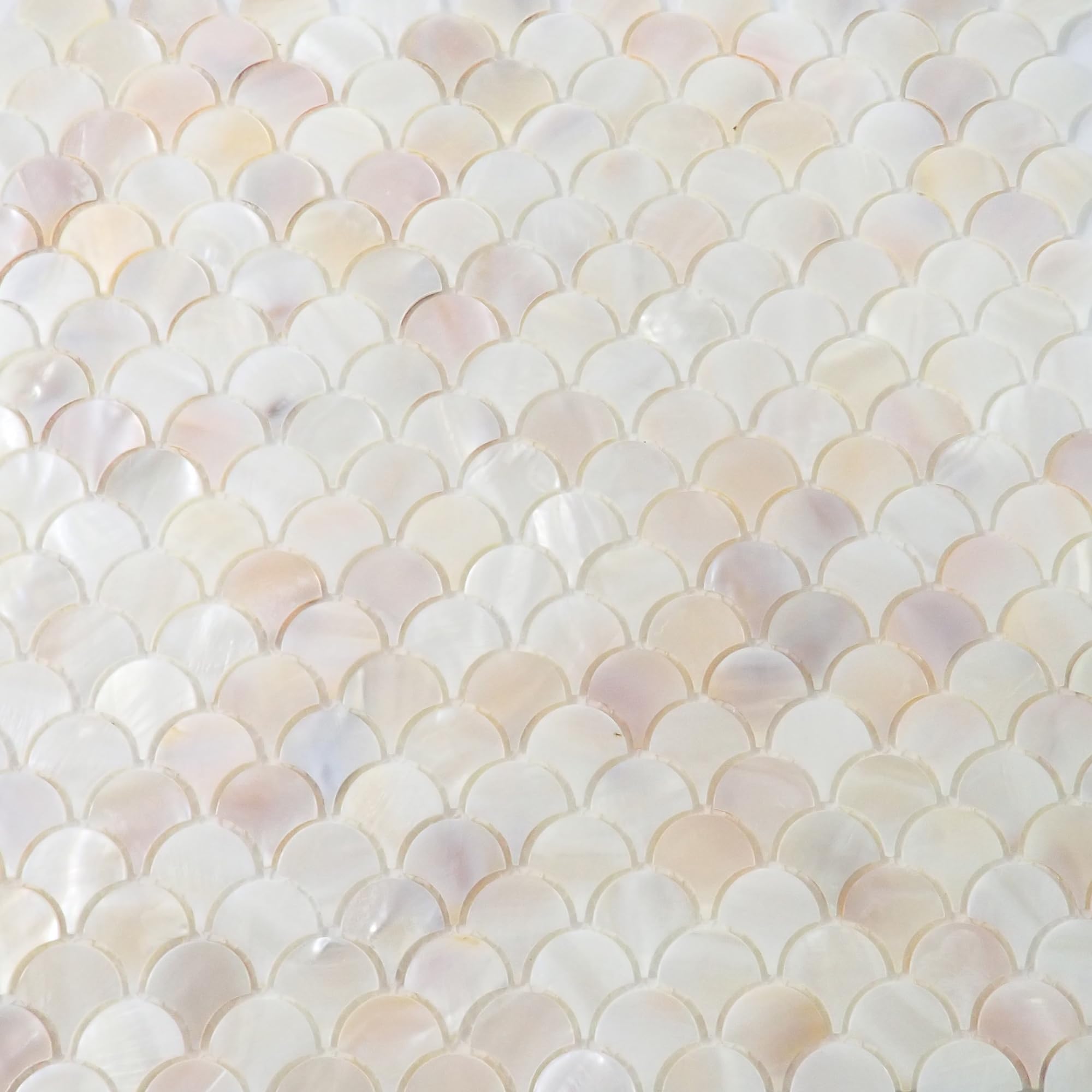 Incudo White Mother of Pearl Fan Mosaic Tile - 300x300mm, Mesh Backing