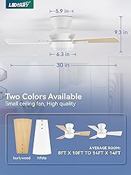 LEDIARY 30 Inch Small Ceiling Fan with Lights and
