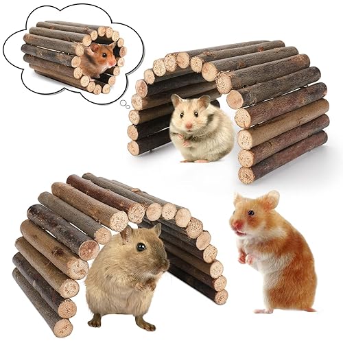 Hamster Toys Guinea Pig Toys Hamster Wheel Hamster Cage Accessories Small  Animal Molar Chew Toys for Chinchillas,Gerbils,Mice,Rats,Mouse,Rabbit,Bunny 