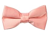 Spring Notion Boys' Pre-tied Banded Satin Bow Tie