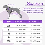 rabbitgoo Small Dog Harness No Pull Reflective with 2 Leash Clips Purple S view 2