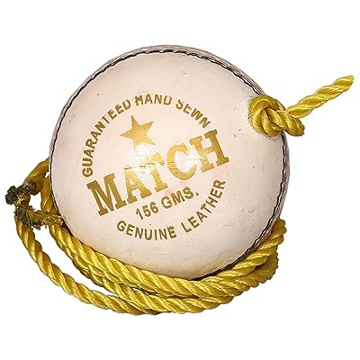 cricket knocking ball