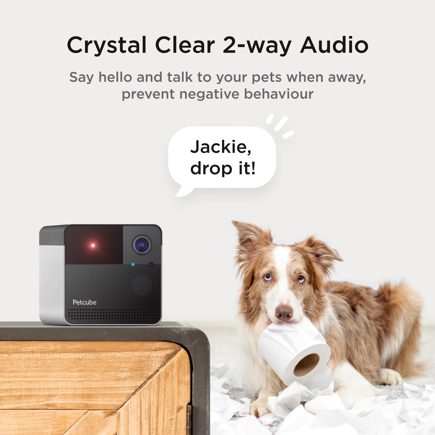 Petcube Play 2 Wi-Fi Pet Camera with Laser Toy for Cats & Dogs, 1080P HD Video, 160° Full-Room View, 2-Way Audio, Sound/Motion Alerts, Night Vision, Pet Monitoring App - View 6