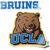Desert Cactus UCLA University of California Los Angeles Bruins Sticker Vinyl Decal Laptop Water Bottle Car Scrapbook (4 Inch Set V1)