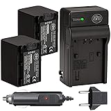 BM 2 NP-FV70 Batteries and Charger Kit for Sony