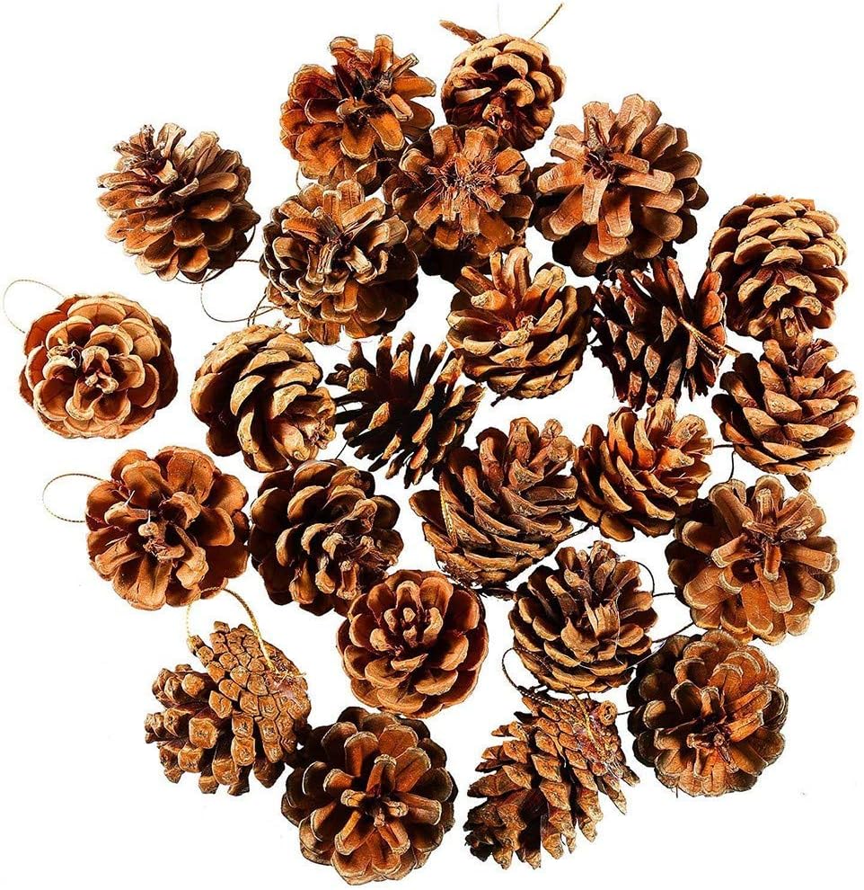 Pine Cone Bathroom Decor
 - Amazon Com Pine Cones 50pcs Christmas Cones Bauble Xmas Tree Party Hanging Decoration Ornament Home Kitchen Bathroom Decor Home Kitchen