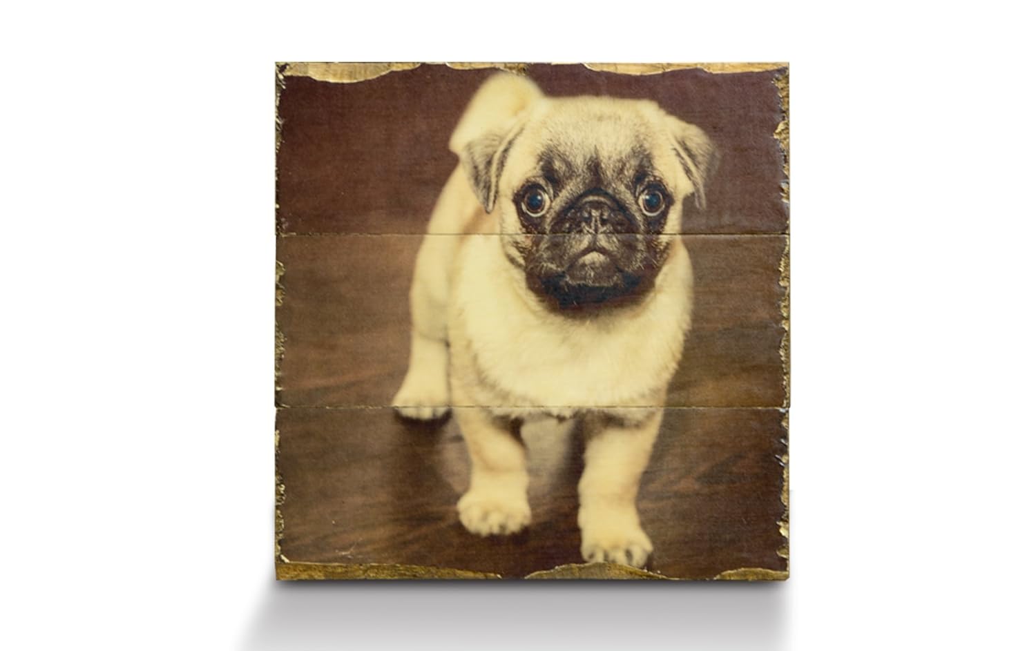 Amazon.com: Your Photo on Wood | Custom Wood print | Rustic home decor