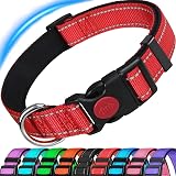ATETEO Reflective Dog Collar Adjustable Nylon Neoprene Padding Red M 13-19.7in